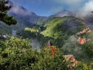 ɽ�����Ĺ�Ч ɽ��������з��ȱ�֤