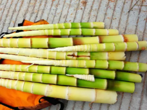 �＾�������ĺô�