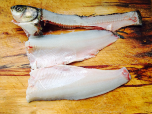 ������ʳϰ��Ӱ����Ľ���