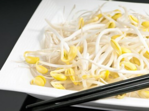 Ƣ������Ҳ��ͨ����ʳ������