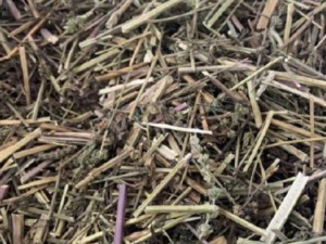 󾣽淽ĹЧ 󾣽淽ɢ