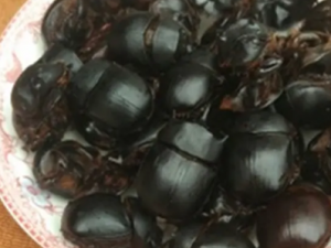 �󽫾��Ĺ�Ч �󽫾����η�ʪ�ؽ���