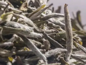 ���Ҷ�Ĺ�Ч ���Ҷ������������θ����