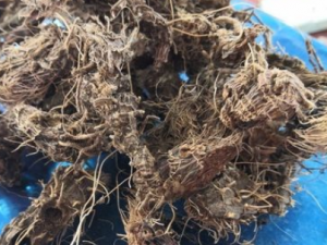 �������Ĺ�Ч ���������ڷ�ʪ�Թؽ���