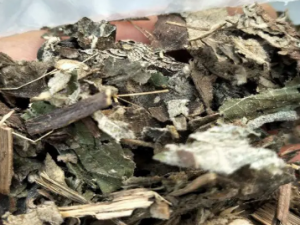 ����Ĺ�Ч �������괯