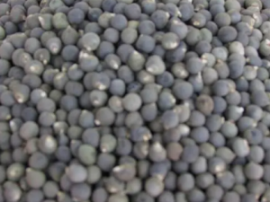 ����ӵĹ�Ч �������С����