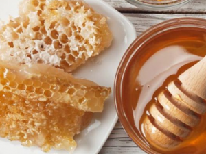 �۲���ν��л��� �۲������ݷ���