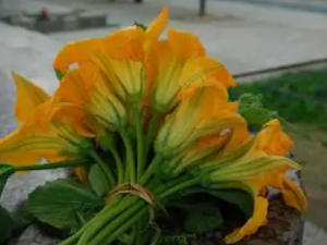 �Ϲϻ�����Щ��Ч �Ϲϻ��λ���