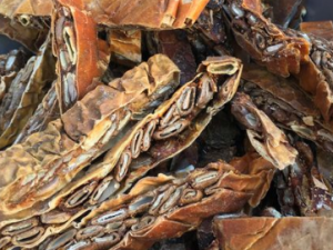 ţ��ʵ�Ĺ�Ч ţ��ʵ����������