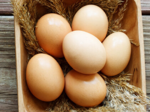 �����˲��ܳԼ���