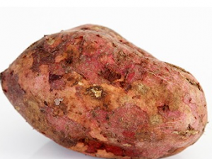 �Ժ�������Щ����  �Ժ����������ʳ