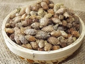 �Զ���Ĺ�Ч �Զ���������ζ�