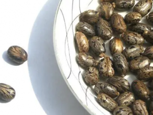 �����Ӹ�Ĺ�Ч �����Ӹ�����������