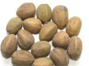 �Ͷ�Ϳ���Ĺ�Ч �Ͷ�Ϳ���������