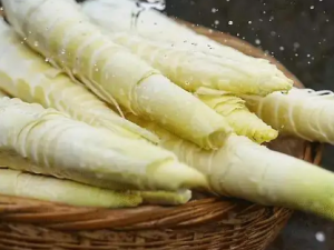 ��������Щ������Ч ��Щ�˲��˳Դ���