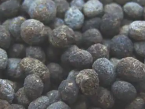 �����ķ�������Щ ��ɫʳ��һ��������