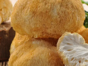 ���������ЩҪע��� ��͵��������ϰ��һ��Ҫע��Ŷ