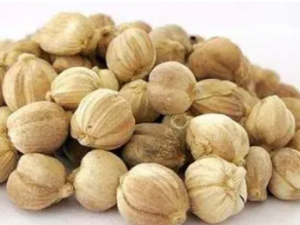 ׶ޢɢĹЧ ׶ޢɢСƢθ