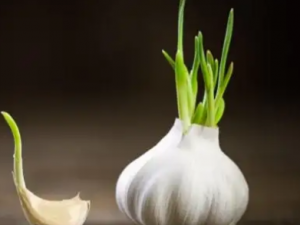 ʲô��������˳Դ��� �����˳Դ�����˸�