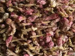 ��ζ���ɢ�Ĺ�Ч ��ζ���ɢ���κ��Ȳ���