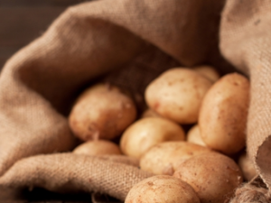 ������������Ƥ���� ��������Ҫע����Щ��������