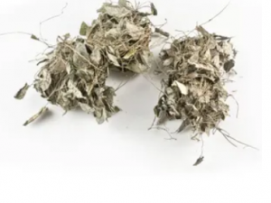 ����ɢ�Ĺ�Ч ����ɢ�������