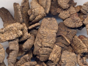 �����յĹ�Ч �������ε�������