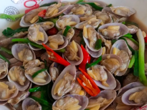 �����׵����� ��ô�������׺ó�