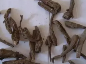 ��Щҩ�ﲻ����άC������֪����