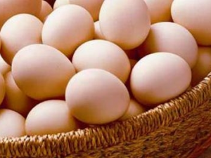 ������Ӫ������������Щ�˳�