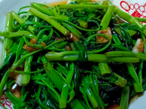 ���ʵ��߲�����Щ С���Ƽ��Ŀ�����߲�