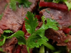 ��˰轴ţ������� С���������ζ����˰轴ţ��