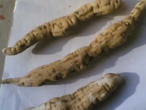 ��ɽ�˵Ĺ�Ч ��ɽ��������˥��