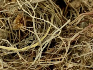 ��ν�ݵĹ�Ч ��ν�����ڸ�ð����