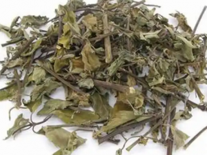 ���èҶ�ݵĹ�Ч ���èҶ��