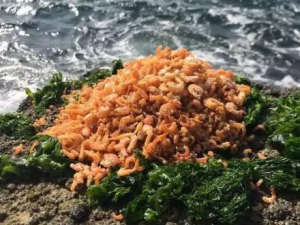 ����ɢ�Ĺ�Ч ����ɢ����С����