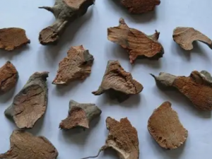 �Ϸ��Ĺ�Ч �Ϸ�����������Ը�ð