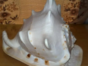 ����ɢ�Ĺ�Ч ����ɢ���ᴯ