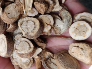 ������Ĺ�Ч ����������©