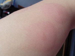 ����ӻ�˥�ϵ��ٶ� ��δ���ʳ����