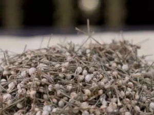 �Ⱦ���ɢ�Ĺ�Ч �Ⱦ���ɢ���������