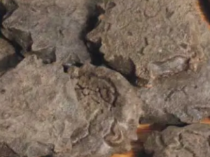 �ʱ�ɢ�Ĺ�Ч �ʱ�ɢ������繥ע��ϥ