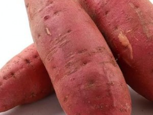 �Ժ������ɹ��� ������������ͬ��