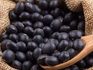 ���������˶Ա�����θ����