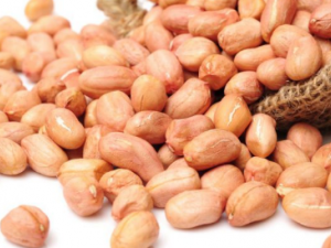 �ļ��ʺϳ�ʲô�����