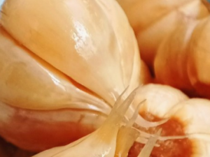 ���Ǵ�������� С����������Ǵ���