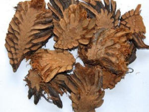 ھ���Ĺ�Ч ھ�������