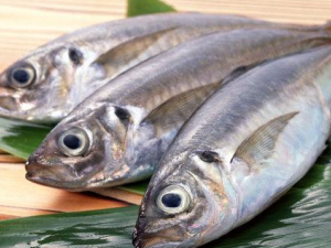 ��ֹ��ҩ�ڼ�Ҫע�����ʳ����