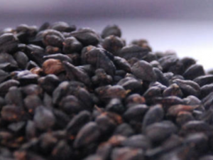 ��Щʳ�ﺬ��ɫ����� һ����������