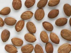 ����޼ɢ�Ĺ�Ч ����޼ɢ��һ��Ѣ����